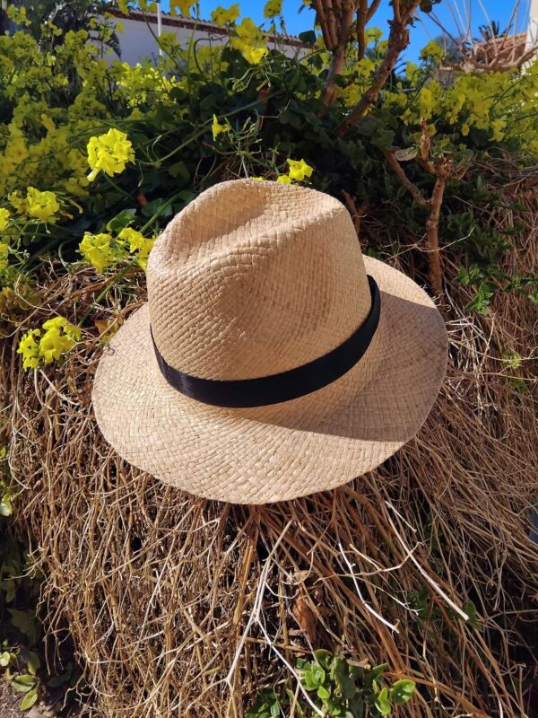 Chapeau panama